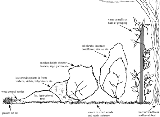 Cross-section of a butterfly garden